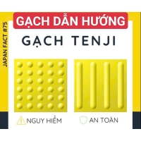 BTX - GẠCH CHỈ HƯỚNG & DỪNG CHÂN