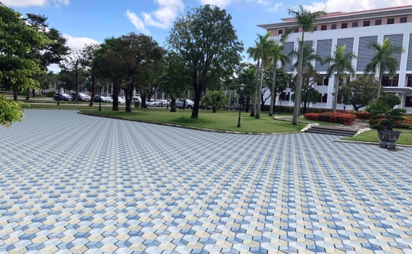 BTX - GẠCH LỤC GIÁC